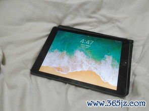 iPad可以下载欧易吗_欧易app官网电脑版